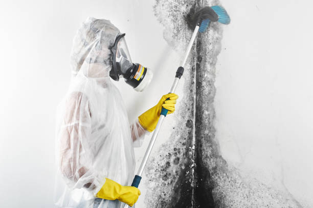 Best Indoor Air Quality Assessment  in Mascot, TN