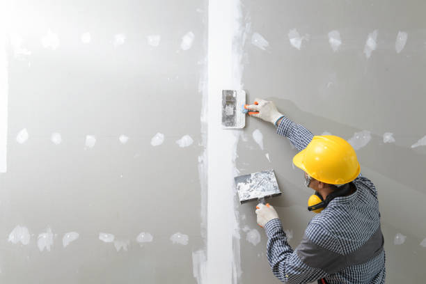 Best Attic Mold Removal  in Mascot, TN