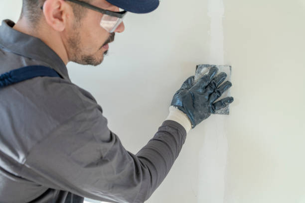 Best Crawl Space Mold Remediation  in Mascot, TN