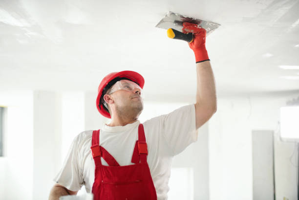 Best Mold Remediation for Healthcare Facilities  in Mascot, TN