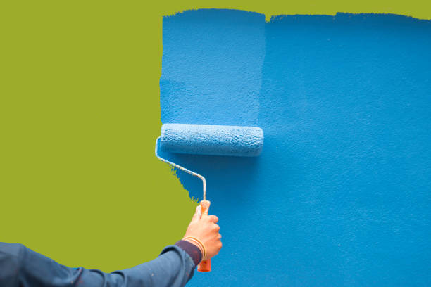 Best Basement Mold Removal  in Mascot, TN
